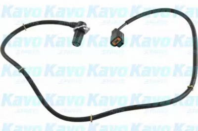 KAVO PARTS bas5562 -  Датчик, частота вращения колеса
